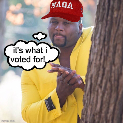 it's what i
voted for! | made w/ Imgflip meme maker