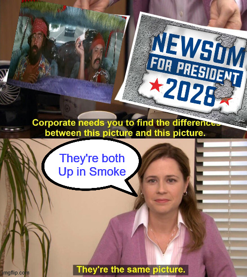 They're both Up in Smoke | They're both Up in Smoke | image tagged in they are the same picture,cheech and chong,gavin newscum | made w/ Imgflip meme maker
