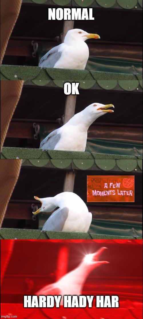 fun | NORMAL; OK; HARDY HADY HAR | image tagged in memes,inhaling seagull,front page plz | made w/ Imgflip meme maker