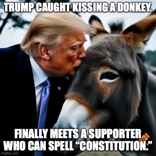 Trump supporters | TRUMP CAUGHT KISSING A DONKEY. FINALLY MEETS A SUPPORTER WHO CAN SPELL “CONSTITUTION.” | image tagged in donald trump,maga,republicans,conservatives,right wing | made w/ Imgflip meme maker