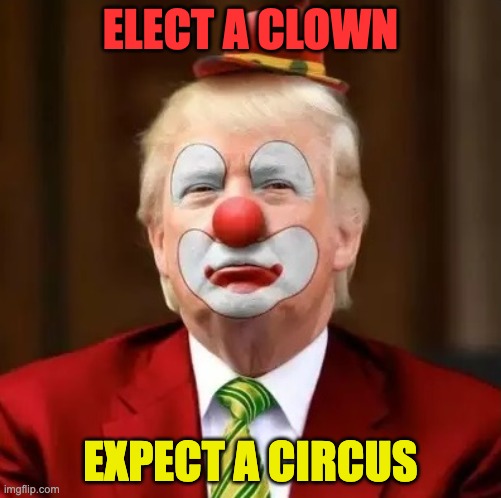 Donald Trump Clown | ELECT A CLOWN; EXPECT A CIRCUS | image tagged in donald trump clown | made w/ Imgflip meme maker