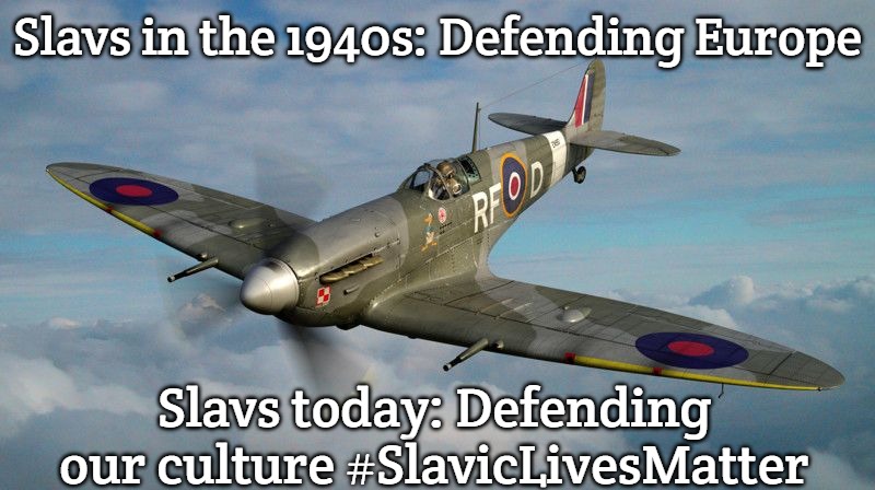 Spitfire | Slavs in the 1940s: Defending Europe; Slavs today: Defending our culture #SlavicLivesMatter | image tagged in spitfire,slavic lives matter | made w/ Imgflip meme maker