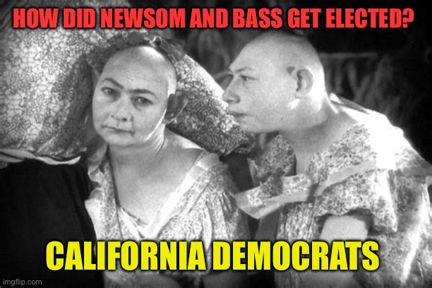 Still confused | HOW DID NEWSOM AND BASS GET ELECTED? CALIFORNIA DEMOCRATS | image tagged in elvira and jenny,democrats,incompetence,illegal aliens,riots | made w/ Imgflip meme maker