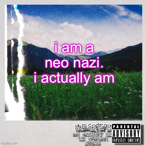 ive gone to many neo nazi rallies | i am a neo nazi. i actually am | image tagged in huaspring temp | made w/ Imgflip meme maker