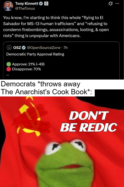 Democrats *throws away The Anarchist's Cook Book*:; DON'T BE REDIC | image tagged in democrats,american politics,communism,anarchy | made w/ Imgflip meme maker