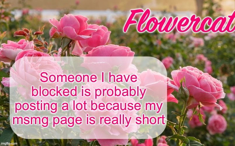 I blocked Hua earlier today so maybe them. Are they saying dumb shit for attention again? | Someone I have blocked is probably posting a lot because my msmg page is really short | image tagged in flowercat template | made w/ Imgflip meme maker