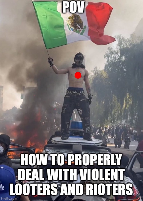 Rioter | POV; HOW TO PROPERLY DEAL WITH VIOLENT LOOTERS AND RIOTERS | image tagged in rioter | made w/ Imgflip meme maker