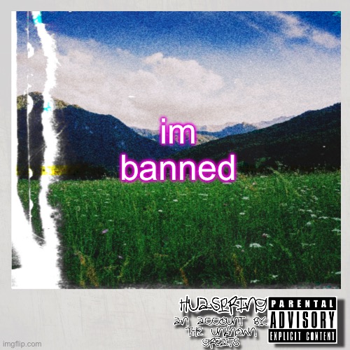 HuaSpring Temp | im banned | image tagged in huaspring temp | made w/ Imgflip meme maker
