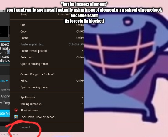 dud 5 | "but its inspect element"
yea i cant really see myself actually using inspect element on a school chromebook
because i cant
its forcefully blocked | image tagged in dud 5 | made w/ Imgflip meme maker