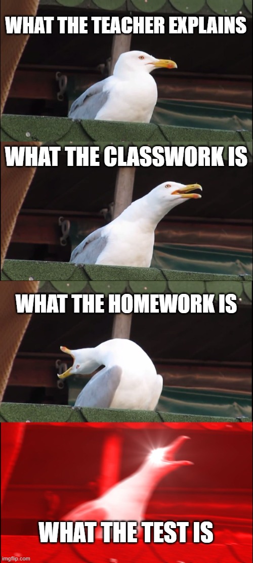 Inhaling Seagull | WHAT THE TEACHER EXPLAINS; WHAT THE CLASSWORK IS; WHAT THE HOMEWORK IS; WHAT THE TEST IS | image tagged in memes,inhaling seagull | made w/ Imgflip meme maker