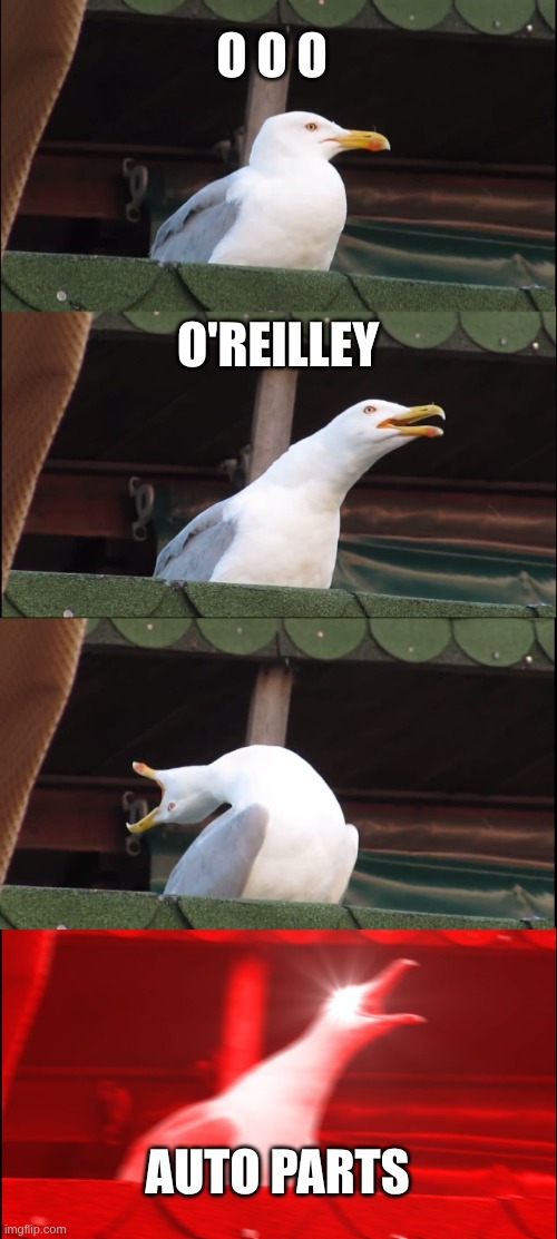 O- o- o- O'Reilley... AUTO PARTS | O O O; O'REILLEY; AUTO PARTS | image tagged in memes,inhaling seagull | made w/ Imgflip meme maker