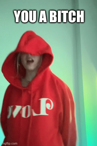 you a bitch | YOU A BITCH | image tagged in gifs,bitch,wow,y u no | made w/ Imgflip images-to-gif maker