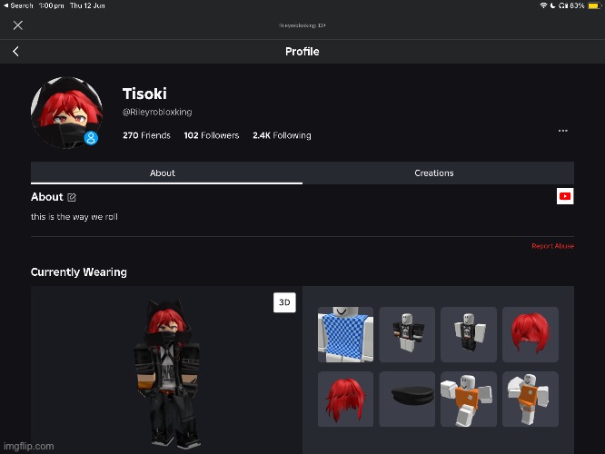 Roblox account | image tagged in roblox | made w/ Imgflip meme maker