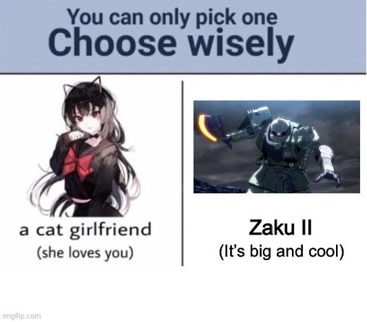 Choose wisely | Zaku II; (It’s big and cool) | image tagged in choose wisely | made w/ Imgflip meme maker