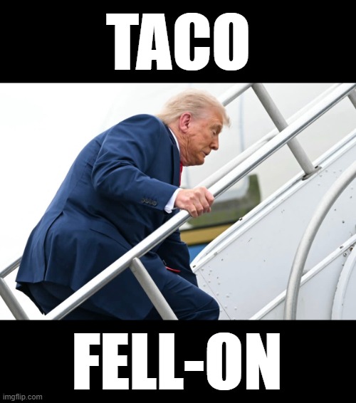 taco felon | TACO; FELL-ON | image tagged in trump,conservative,fall,moron,25th | made w/ Imgflip meme maker