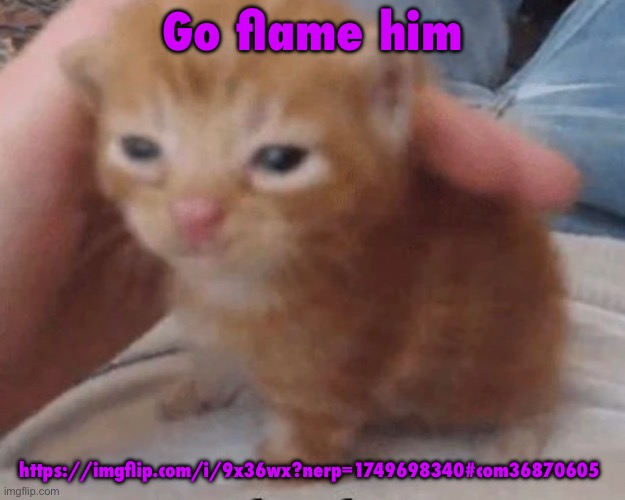Herbert | Go flame him; https://imgflip.com/i/9x36wx?nerp=1749698340#com36870605 | image tagged in herbert | made w/ Imgflip meme maker