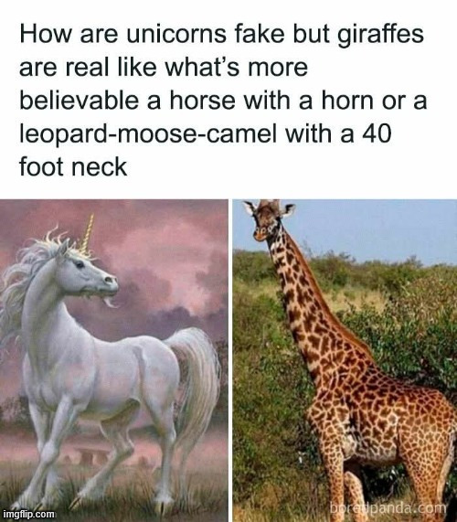 image tagged in repost | made w/ Imgflip meme maker