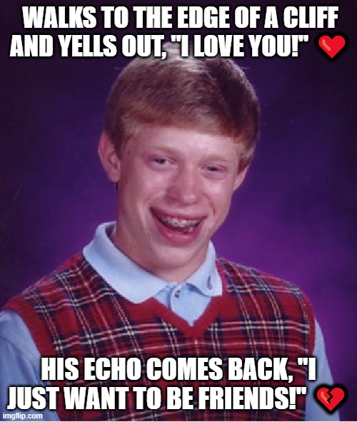 InCel O_o | WALKS TO THE EDGE OF A CLIFF AND YELLS OUT, "I LOVE YOU!" ❤️; HIS ECHO COMES BACK, "I JUST WANT TO BE FRIENDS!" 💔 | image tagged in memes,bad luck brian,love,rejection,hiking,nature | made w/ Imgflip meme maker