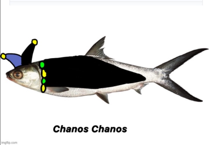 Jevil Fish (relative of Painted and Void?) | made w/ Imgflip meme maker