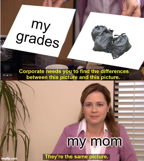 They're The Same Picture | my grades; my mom | image tagged in memes,they're the same picture | made w/ Imgflip meme maker