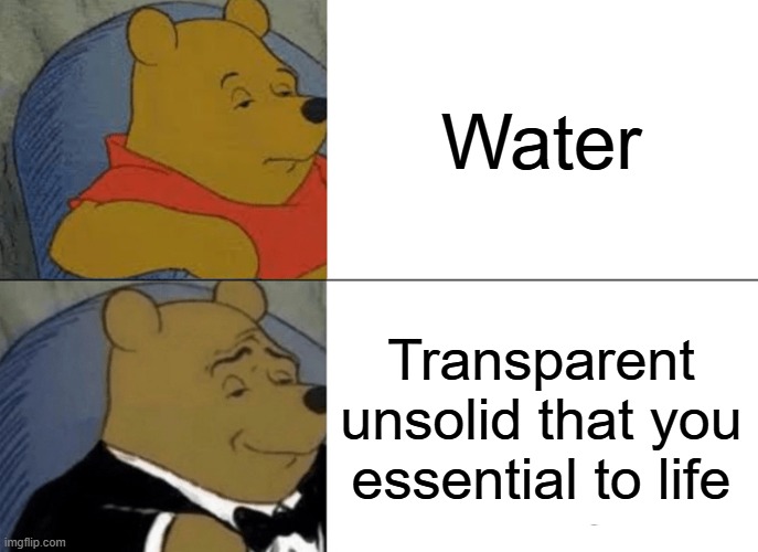 Tuxedo Winnie The Pooh | Water; Transparent unsolid that you essential to life | image tagged in memes,tuxedo winnie the pooh | made w/ Imgflip meme maker