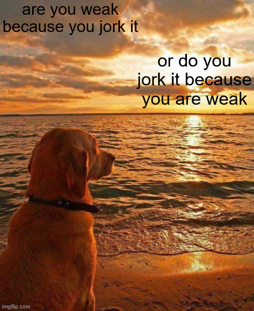 . | are you weak because you jork it; or do you jork it because you are weak | made w/ Imgflip meme maker