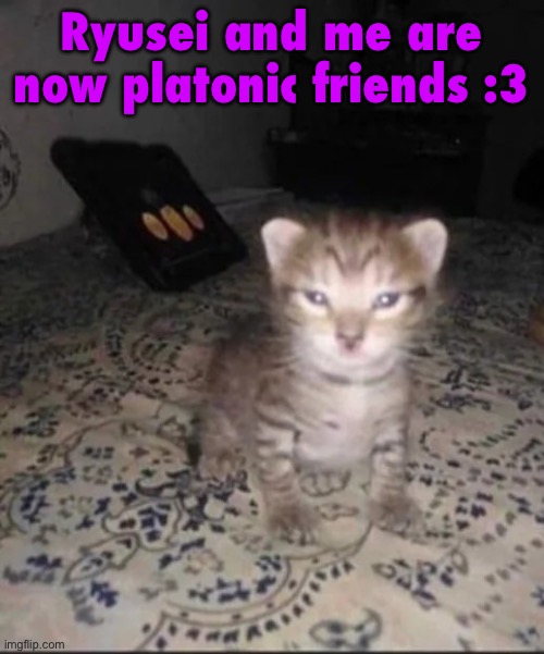Herbert’s brother | Ryusei and me are now platonic friends :3 | image tagged in herbert s brother | made w/ Imgflip meme maker