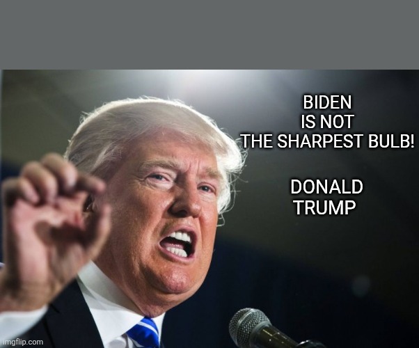 Sharpest bulb | BIDEN IS NOT THE SHARPEST BULB! DONALD TRUMP | image tagged in donald trump,trump,maga,nevertrump,trump sucks,conservative | made w/ Imgflip meme maker