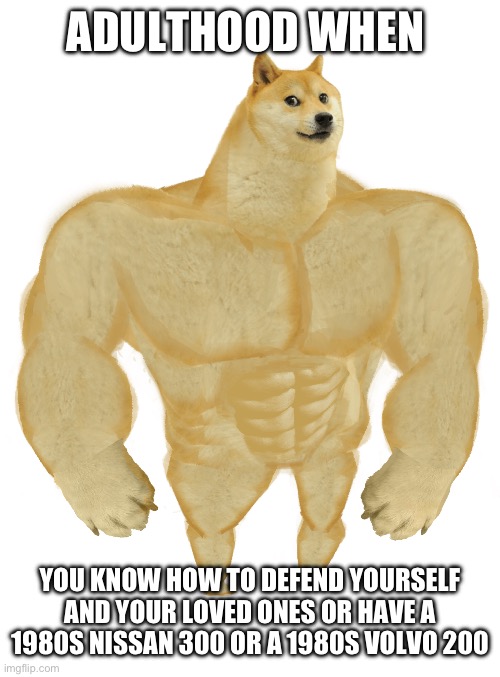 Swole Doge | ADULTHOOD WHEN YOU KNOW HOW TO DEFEND YOURSELF AND YOUR LOVED ONES OR HAVE A 1980S NISSAN 300 OR A 1980S VOLVO 200 | image tagged in swole doge | made w/ Imgflip meme maker