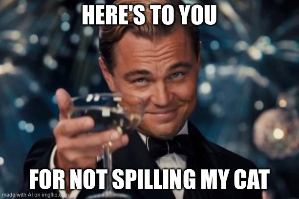 Leonardo Dicaprio Cheers | HERE'S TO YOU; FOR NOT SPILLING MY CAT | image tagged in memes,leonardo dicaprio cheers | made w/ Imgflip meme maker