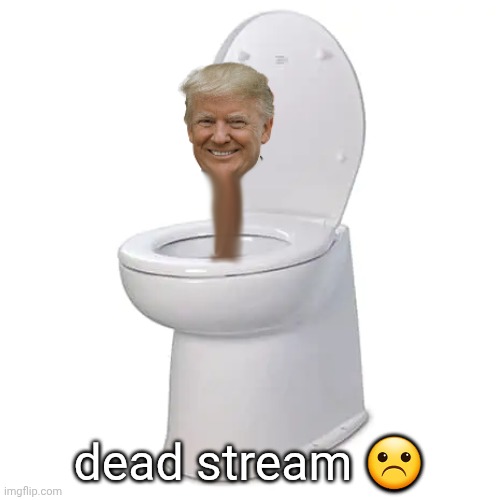 Donald Trump skibidi toilet | dead stream ☹️ | image tagged in donald trump skibidi toilet | made w/ Imgflip meme maker