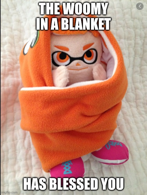 Woomy in a Blanket | THE WOOMY IN A BLANKET; HAS BLESSED YOU | image tagged in woomy in a blanket | made w/ Imgflip meme maker