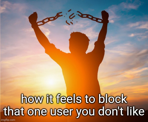silhouette of man who is breaking free from chains on his hands over the sunset while multiple clouds are visible | how it feels to block that one user you don't like | image tagged in man breaking free from chains over the sunset | made w/ Imgflip meme maker