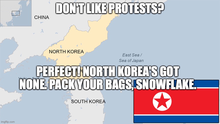 Snowflakes dont like protests | DON'T LIKE PROTESTS? PERFECT! NORTH KOREA'S GOT NONE. PACK YOUR BAGS, SNOWFLAKE. | image tagged in donald trump,north korea,republicans,right wing,conervatives,maga | made w/ Imgflip meme maker