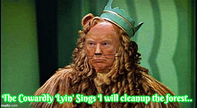 I will cleanup the forest | image tagged in i will cleanup the forest,cowardly lyin',rake aound the forest,delusions of grandeur,maga moron,bone spurs need some courage | made w/ Imgflip meme maker