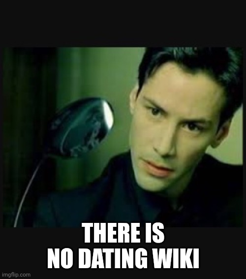 There is no spoon | THERE IS NO DATING WIKI | image tagged in there is no spoon | made w/ Imgflip meme maker