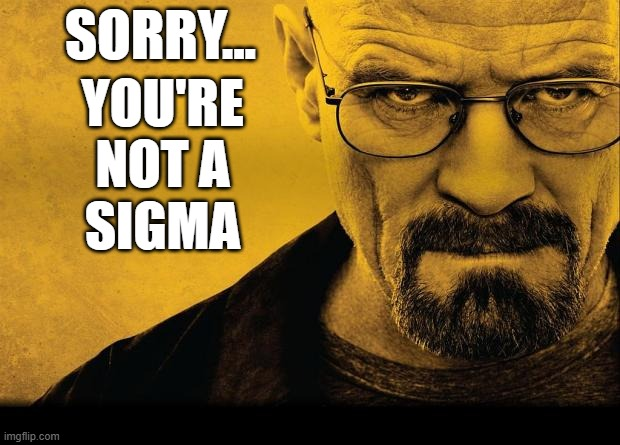 sorry you're not sigma Blank Meme Template