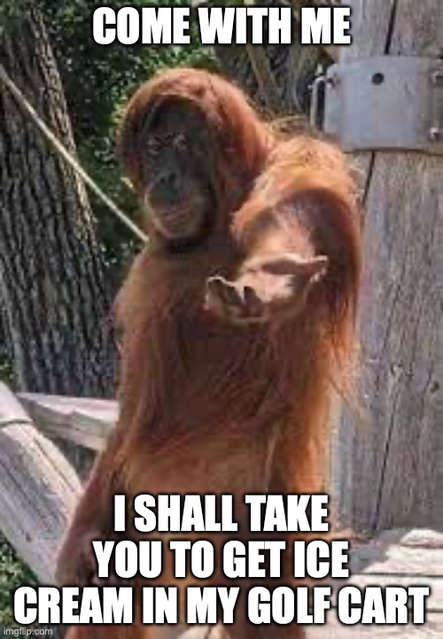 want some?? | COME WITH ME; I SHALL TAKE YOU TO GET ICE CREAM IN MY GOLF CART | image tagged in savior monke | made w/ Imgflip meme maker