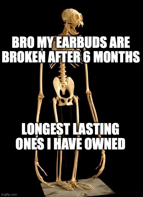 Ape skeleton | BRO MY EARBUDS ARE BROKEN AFTER 6 MONTHS; LONGEST LASTING ONES I HAVE OWNED | image tagged in ape skeleton | made w/ Imgflip meme maker