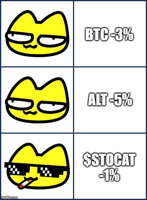 Stoopid Cats | BTC -3%; ALT -5%; $STOCAT -1% | image tagged in crypto,stoopid cats,crypto meme,chill guy,cat meme | made w/ Imgflip meme maker