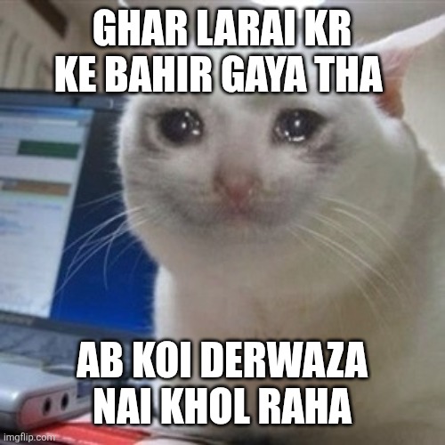 Crying cat | GHAR LARAI KR KE BAHIR GAYA THA; AB KOI DERWAZA NAI KHOL RAHA | image tagged in crying cat | made w/ Imgflip meme maker