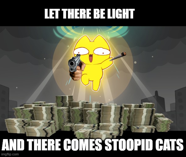 let there be light | LET THERE BE LIGHT; AND THERE COMES STOOPID CATS | image tagged in stoopid cats,funny cats,cat memes,crypto,chill guy | made w/ Imgflip meme maker