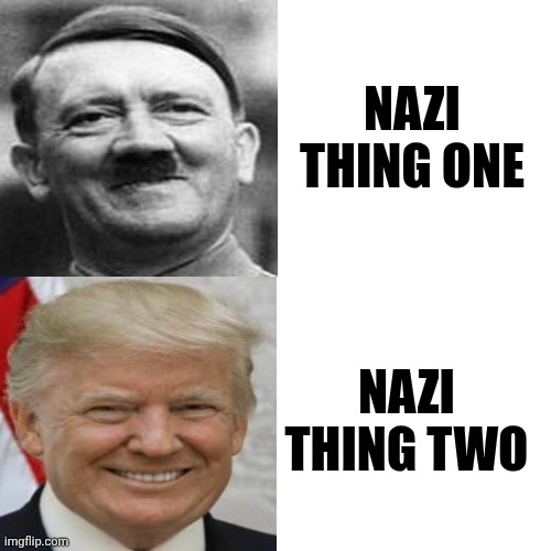 Donald Trump Is A Nazi | NAZI THING ONE; NAZI THING TWO | image tagged in memes,drake hotline bling,maga,trump is a nazi,maga nazis,wake up | made w/ Imgflip meme maker