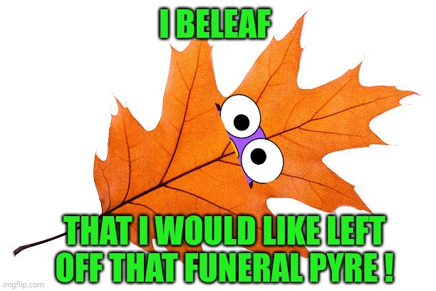 Leaf | I BELEAF THAT I WOULD LIKE LEFT OFF THAT FUNERAL PYRE ! | image tagged in leaf | made w/ Imgflip meme maker