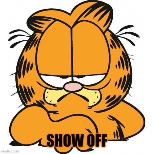 Garfield | SHOW OFF | image tagged in garfield | made w/ Imgflip meme maker