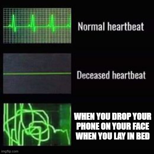 title and tags | WHEN YOU DROP YOUR PHONE ON YOUR FACE WHEN YOU LAY IN BED | image tagged in heartbeat rate | made w/ Imgflip meme maker