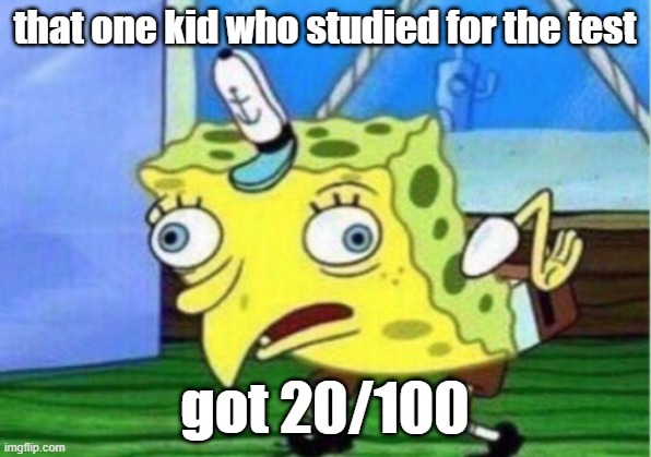 that one guy who didnt study for the test | that one kid who studied for the test; got 20/100 | image tagged in memes,mocking spongebob | made w/ Imgflip meme maker