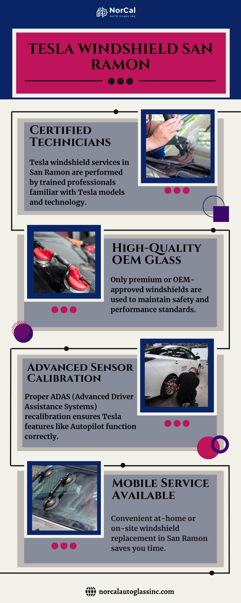 Tesla Windshield San Ramon Blank Meme Template