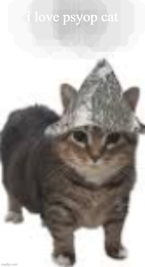 psyop cat | i love psyop cat | image tagged in psyop cat | made w/ Imgflip meme maker
