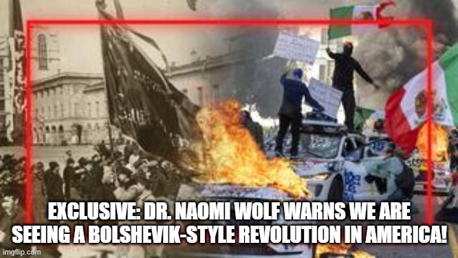 Exclusive: Dr. Naomi Wolf Warns We Are Seeing a Bolshevik-Style Revolution in America! (Video)